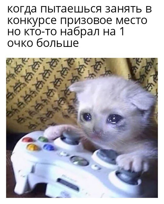 Sad Gaming Cat 22052020173617.jpg