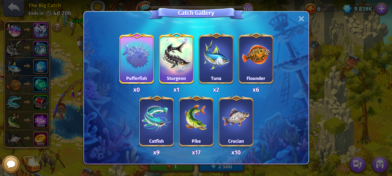 Catch Gallery.png